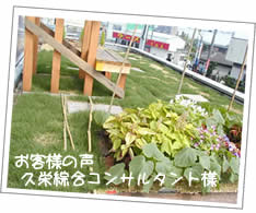 ����Ή��{�H����2