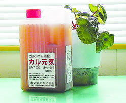 �|�|�̓������u�L�@�_�L���[�g�J���V�E���t��v�J�����C