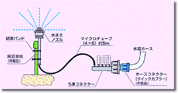 ���܂��m�Y���{�H�}