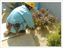 ���邢���΂���g��������Ή��V�X�e���{�H�܂ł̗���5